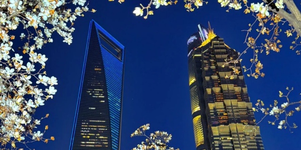 1743473508952.jpg lujiazui.jpg