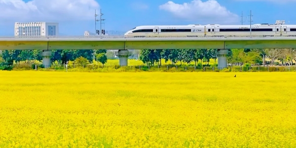 1743477355341.jpg Bright Town .jpg