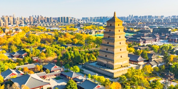 1743477743694.jpg Big Wild Goose Pagoda opening hours,1.jpg