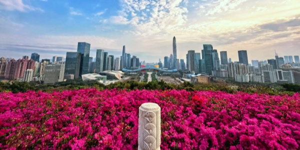 Lianhua Mountain Park.jpg