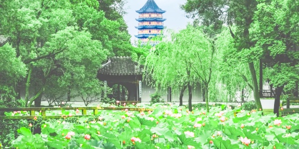 1743571273963.jpg What is the most famous garden in Suzhou,Humble Administrator's Garden,green.jpg