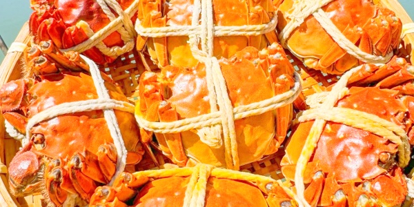 1743574720973.jpg What is so special about hairy crab,Biluochun tea benefits,crab.jpg