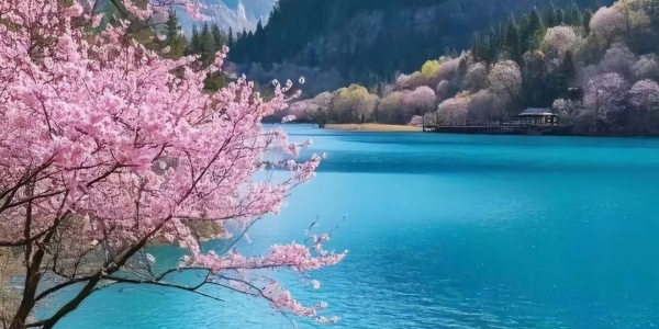 1743579341103.jpg 1j.jpg