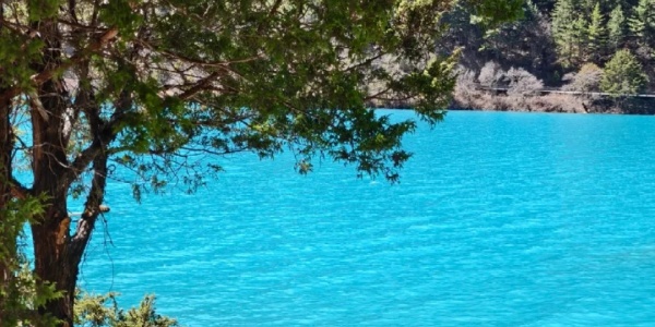 1743579351446.jpg 2j.jpg