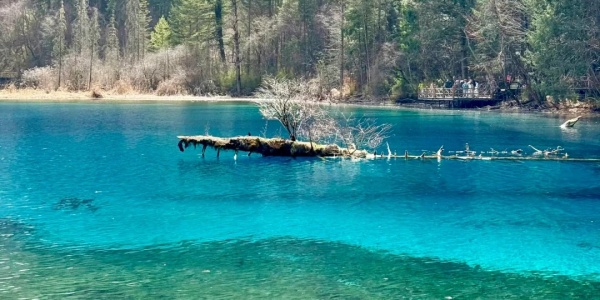 1743579368874.jpg 3j.jpg