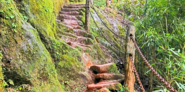 1744076958654.jpg Which attraction in Chongqing is considered the best place,china tour,Aiqing Ladder.jpg