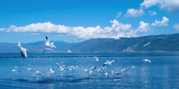 Erhai Lake.jpg