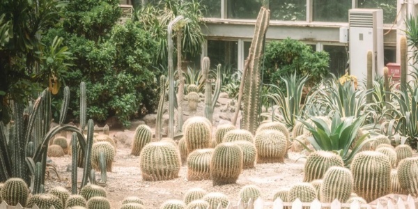 1744100327024.jpg gd2.jpg