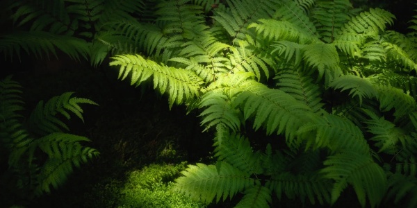 1744100334462.jpg gd3.jpg