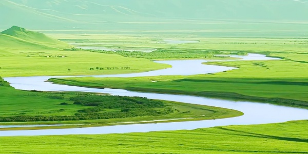 1744100460254.jpg reg3.jpg