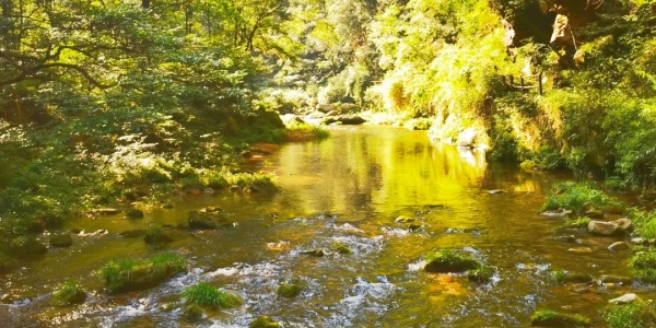 zhangjiajie,pesona travel,pesona jawa,green.jpg