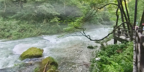 zhangjiajie,pesona travel,pesona jawa,white.jpg