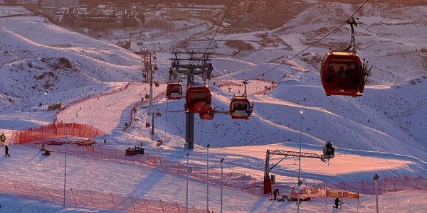 1744268215982.jpg alt.jpg