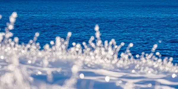 1744270460405.jpg alt2 (2).jpg