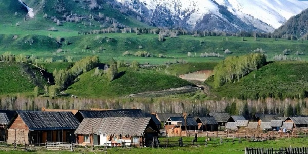 1744271221851.jpg altcy.jpg