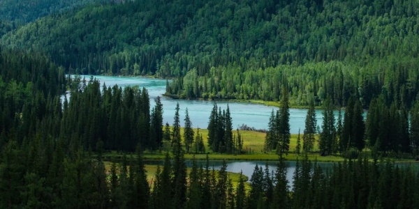 1744271230094.jpg alth.jpg