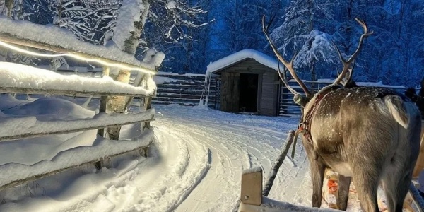 1744272552220.jpg hb3.jpg