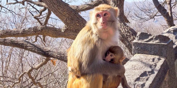 1744695842262.jpg china travel,pesona travel,3.jpg