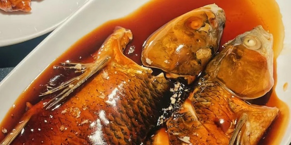 1744699998917.jpg x (2).jpg