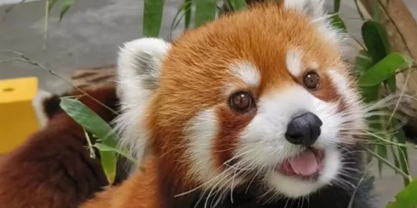 1744704953624.jpg xxm.jpg