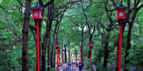 1744781371080.jpg best time to visit guangzhou,china travel,pesona travel,2.jpg