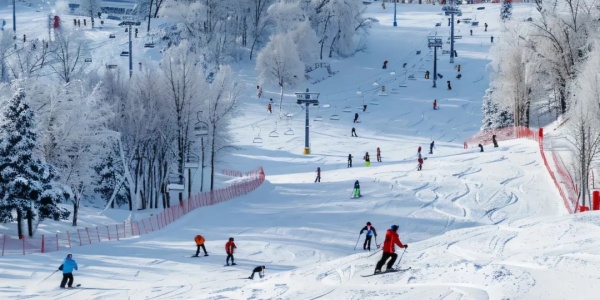 1744963803963.jpg hb4.jpg