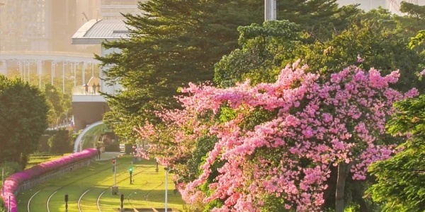 1744965155854.jpg gzmm.jpg