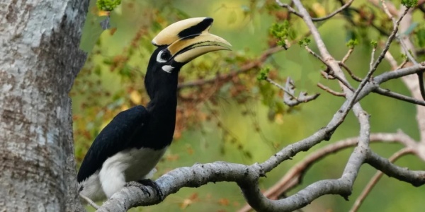 1745562340005.jpg bird.jpg