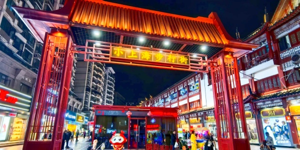 1745718995927.jpg Places to visit in Shanghai at night, China Travel, Shanghai,3.jpg