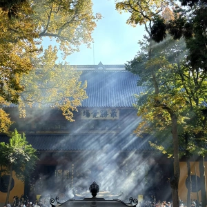 Visite de la ville de Hangzhou