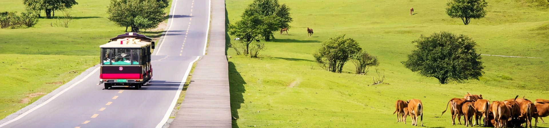 Parc forestier national de Fairy Mountain