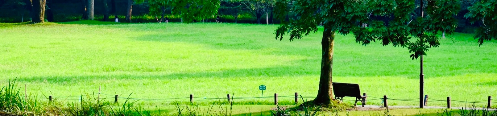 Top 5 Must-Try Hangzhou Köstlichkeiten: Eine kulinarische Reise durch die Kulinarische Seele der Stadt