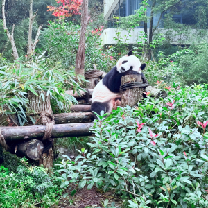 Savor the Spice: Un voyage culinaire à travers les plats les plus iconiques