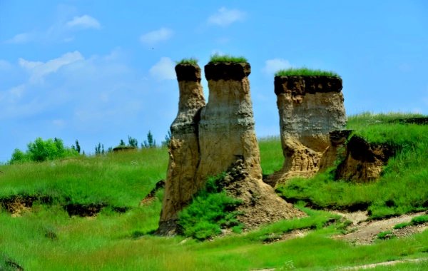 Datong Clay Forest