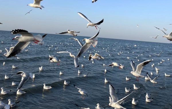 Venue Intelligence & Access