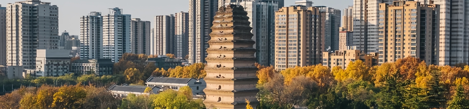 Petite Pagode d'Oie Sauvage