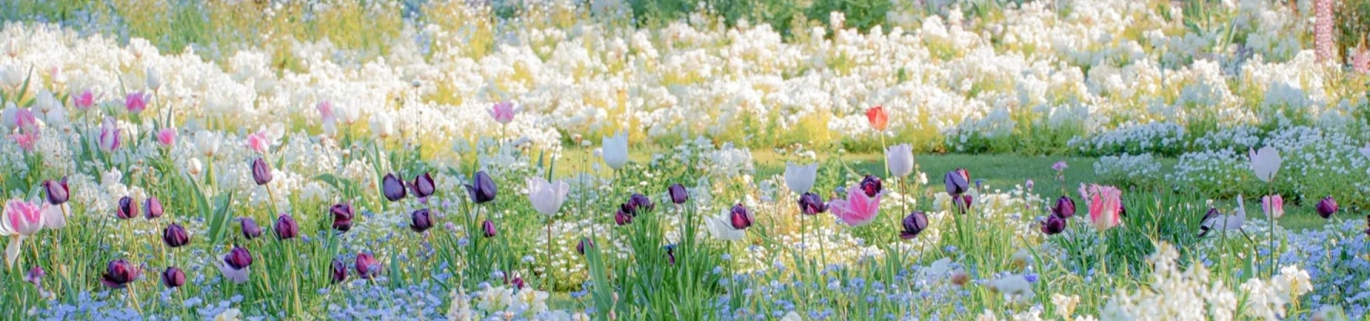Jardin botanique de Pékin