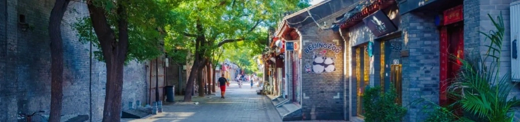 Wudaoying Hutong