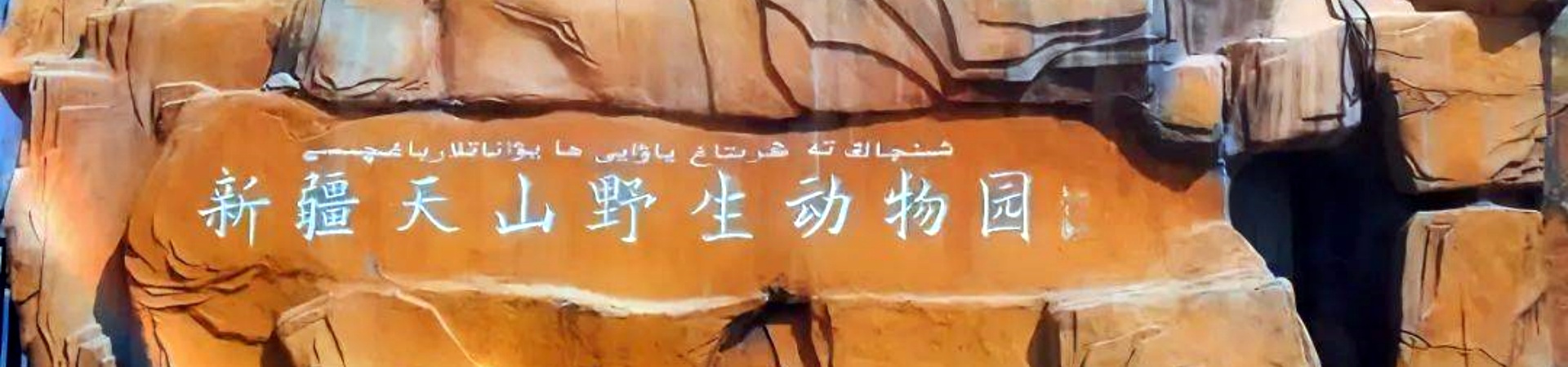 Zoo animalier de Xinjiang Tianshan