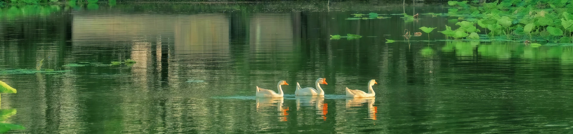 Village ancien de Chengkan