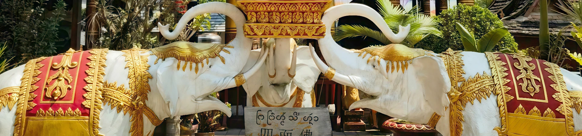 Vallée sauvage de l'éléphant