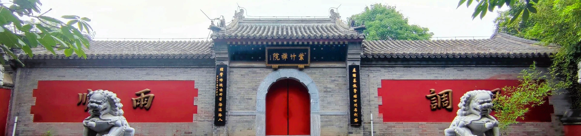 Parc du bambou violet