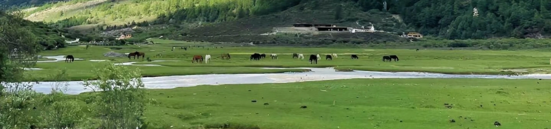 Daocheng Yading: La dernière terre pure sur la planète bleue