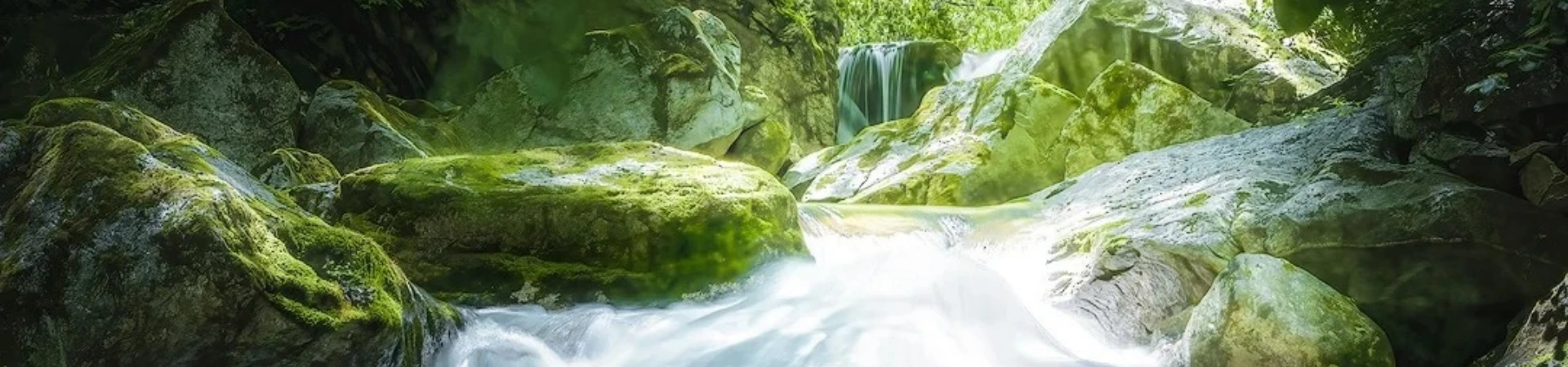 Nationalpark Taiping