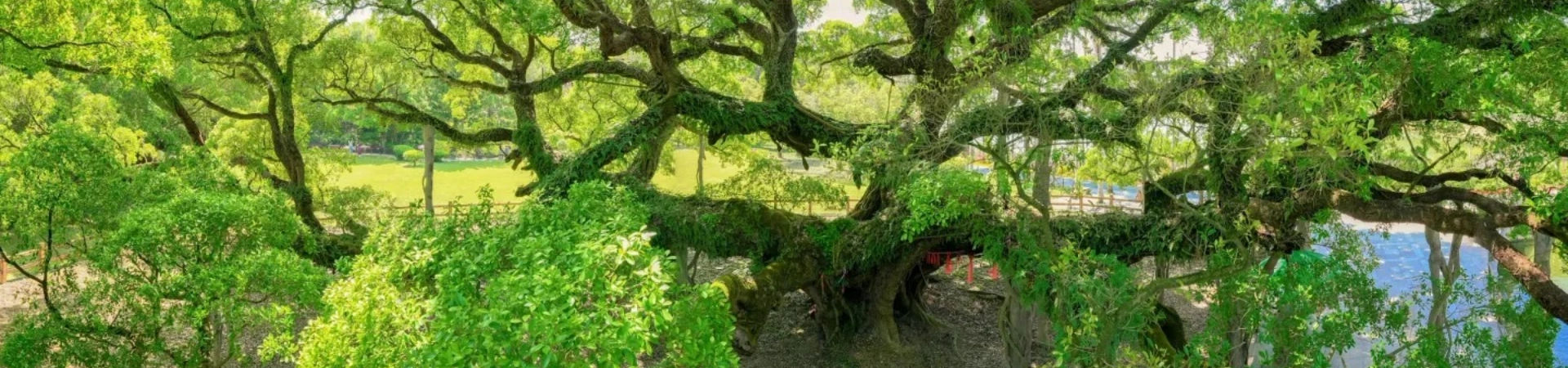 Fuzhou National Forest Park