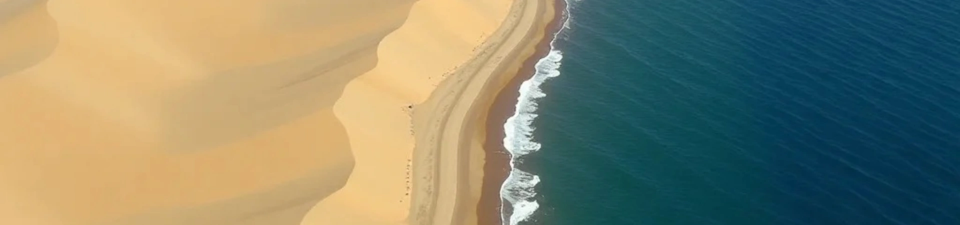 스낵 바 샌디 랜드