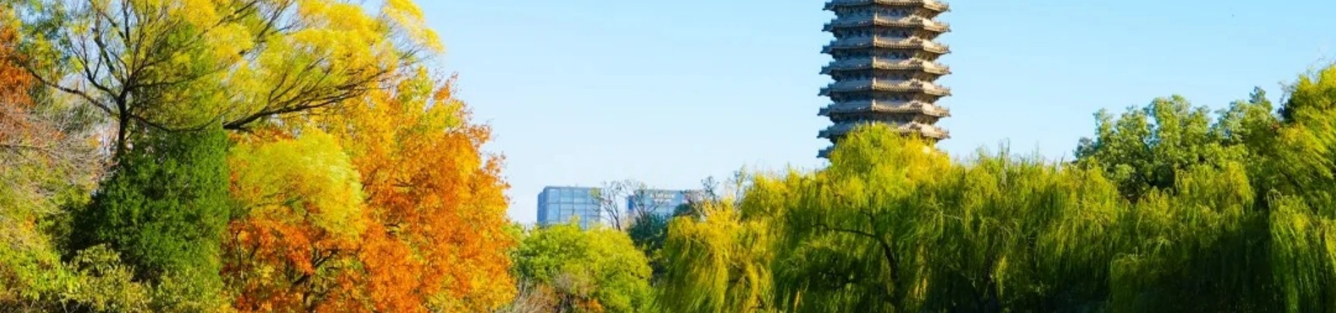 Université de Pékin