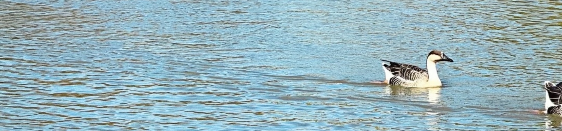 Parc national des terres humides de Xi'an Chanba