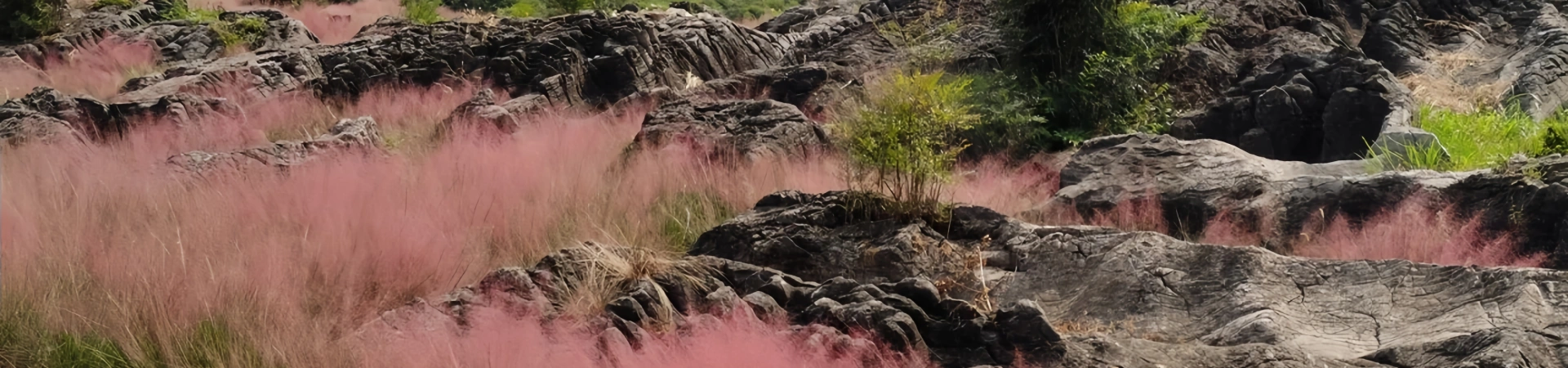 Région scénique de Taohuayuan