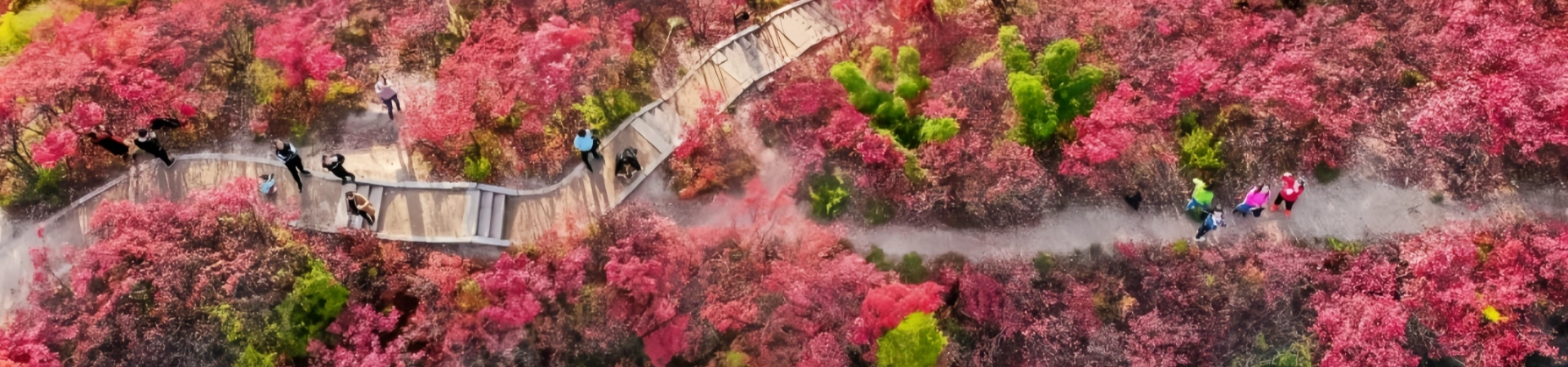 Shenlingzhai Stockaded Village